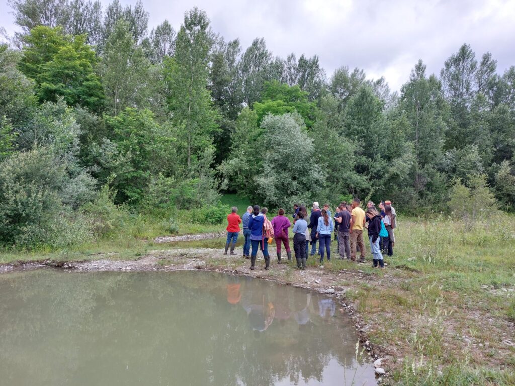 Présentation des marres créées par le Syndicat Salat Volp dans la zone humide du lac de Touille lors de la journée technique Zone Humide.