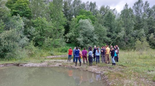 Présentation des marres créées par le Syndicat Salat Volp dans la zone humide du lac de Touille lors de la journée technique Zone Humide.