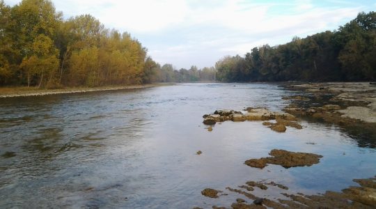 étiage de la Garonne à Saubens (1)